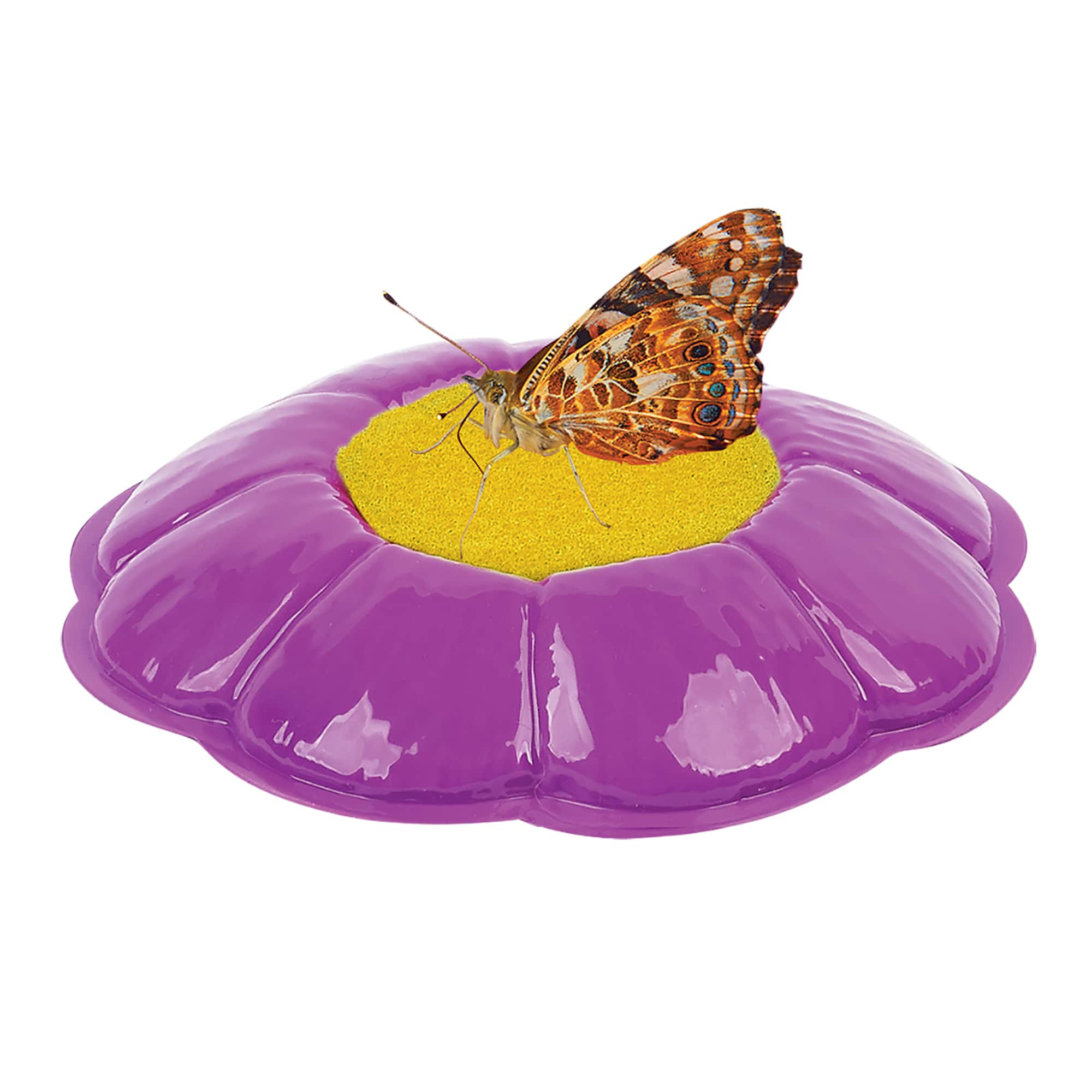 Butterfly Pavilion®